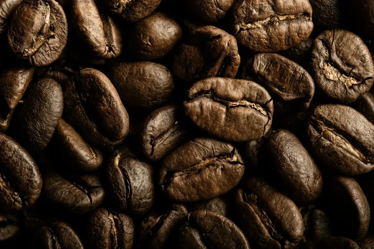 Roasted coffee beans, close up, each one split along its centre line.