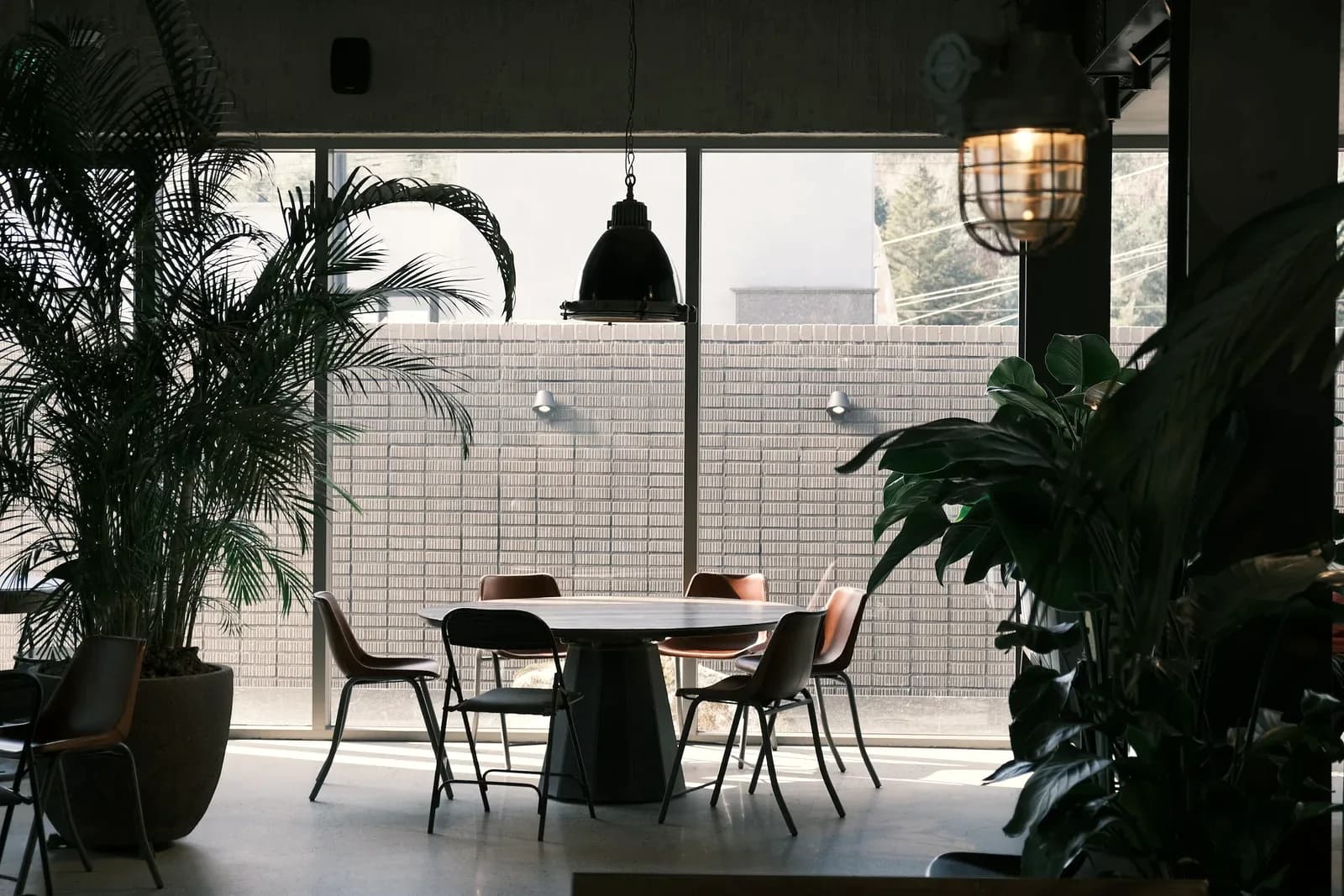 The front of a room at midday: a round table and chairs before floor-to-ceiling windows, between two tall plants.